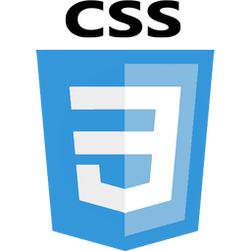 css3logo